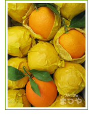 伊豆産のネーブルオレンジの写真